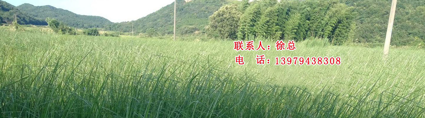 品牌營(yíng)銷(xiāo)推廣